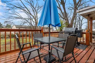 409 Albert St, Cape Girardeau, MO 63703 - Photo 9