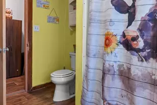 409 Albert St, Cape Girardeau, MO 63703 - Photo 23