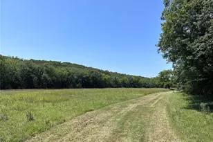 22 Hematite Farms Rd, Festus, MO 63028 - Photo 1