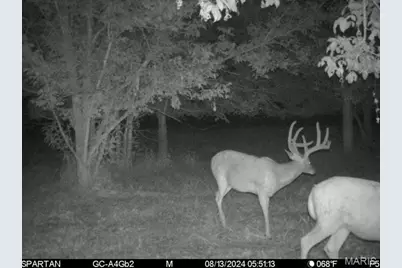 22 Hematite Farms Rd, Festus, MO 63028 - Photo 3