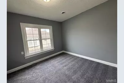 802 N Desloge Drive, Desloge, MO 63601 - Photo 15