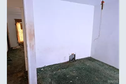 4943 Genevieve Avenue, Saint Louis, MO 63120 - Photo 13