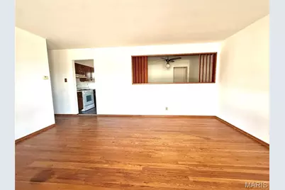 24 Juanita Drive, Hillsboro, MO 63050 - Photo 7