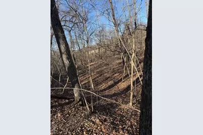 111 Highway Bb, Imperial, MO 65486 - Photo 17