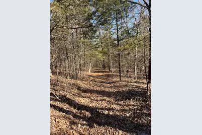 111 Highway Bb, Imperial, MO 65486 - Photo 47