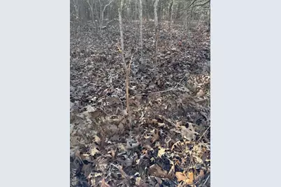 111 Highway Bb, Imperial, MO 65486 - Photo 13