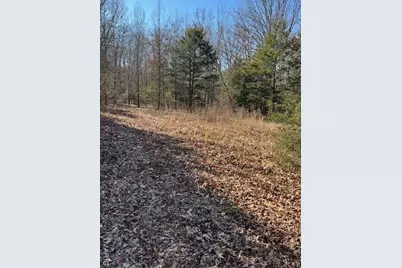 111 Highway Bb, Imperial, MO 65486 - Photo 33