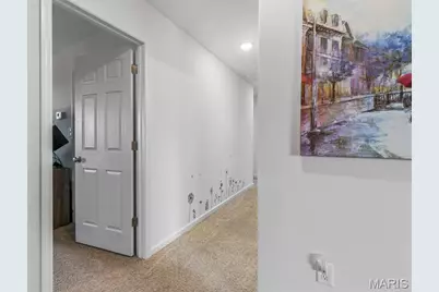 5617 Sun Bear Drive, House Springs, MO 63051 - Photo 31