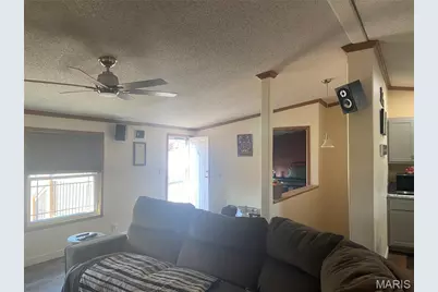 300 Wild Creek Court, De Soto, MO 63020 - Photo 11