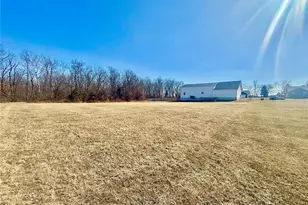 300 Blackberry Ln, Bismarck, MO 63624 - Photo 9