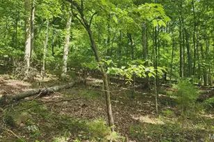 574 Marina Dr, Marthasville, MO 63357 - Photo 5