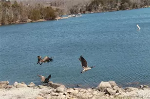 574 Marina Dr, Marthasville, MO 63357 - Photo 41