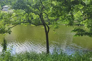 574 Marina Dr, Marthasville, MO 63357 - Photo 3