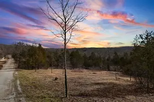 Tbd Cedar Ln, Festus, MO 63028 - Photo 1