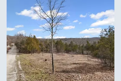 Tbd Cedar Lane, Festus, MO 63028 - Photo 3