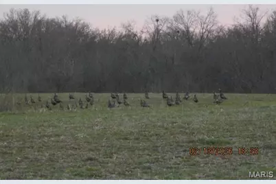 Lot #7 Pcr 910, Perryville, MO 63775 - Photo 1