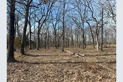 14 Legacy Drive, Potosi, MO 63664 - Photo 5