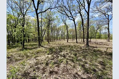 14 Legacy Drive, Potosi, MO 63664 - Photo 19