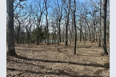 14 Legacy Drive, Potosi, MO 63664 - Photo 7