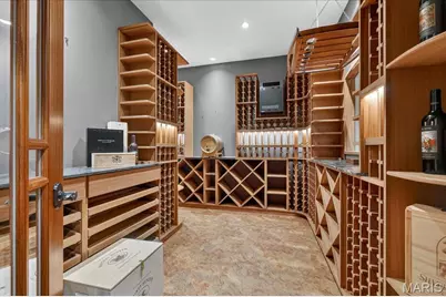 9998 Litzsinger Road, Ladue, MO 63124 - Photo 49