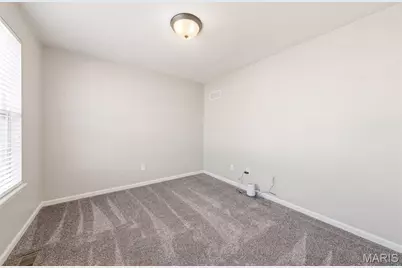 135 Emerald Isle Lane, Wentzville, MO 63385 - Photo 47