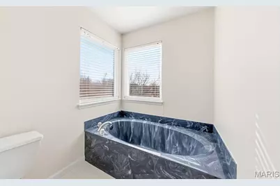 135 Emerald Isle Lane, Wentzville, MO 63385 - Photo 39