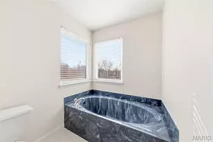 135 Emerald Isle Ln, Wentzville, MO 63385 - Photo 39