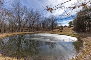 6229 State Hwy 32, Farmington, MO 63640 - Photo 55