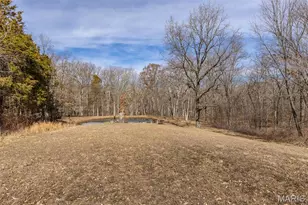 6229 State Hwy 32, Farmington, MO 63640 - Photo 53