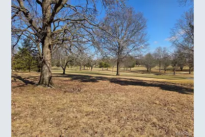 46 East Street, Sullivan, MO 63080 - Photo 29