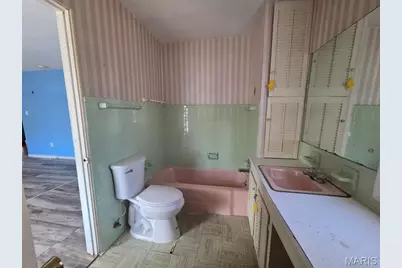 1103 Lester Street, Poplar Bluff, MO 63901 - Photo 13