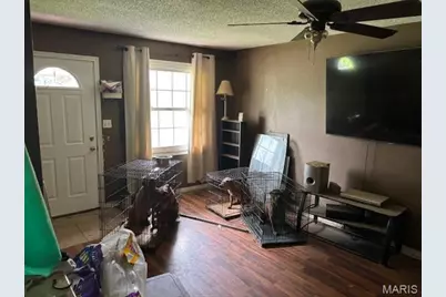 105 Druetta Avenue, Scott City, MO 63780 - Photo 5