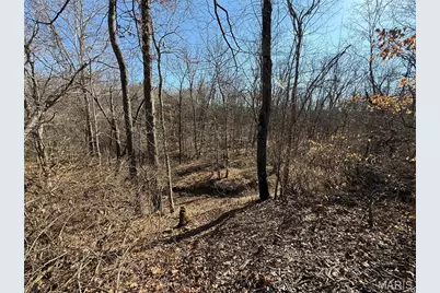 14176 Little Indian Creek, Lonedell, MO 63060 - Photo 7