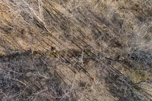 15190 N State Hwy 21, Cadet, MO 63630 - Photo 43