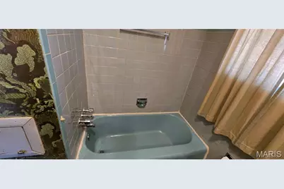 9604 Cherryfield Drive, Saint Louis, MO 63136 - Photo 9