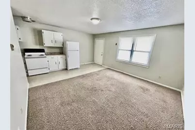 1000 S Dilworth Lane, Salem, MO 65560 - Photo 19