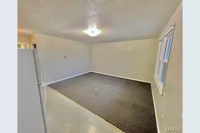 1000 S Dilworth Lane, Salem, MO 65560 - Photo 13