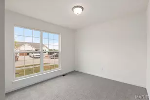 3005 Yellow Birch Ct, Imperial, MO 63052 - Photo 23