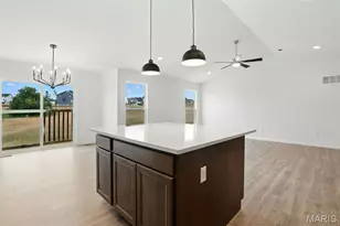 383 Butterfly Gdn Ln, Wentzville, MO 63385 - Photo 11