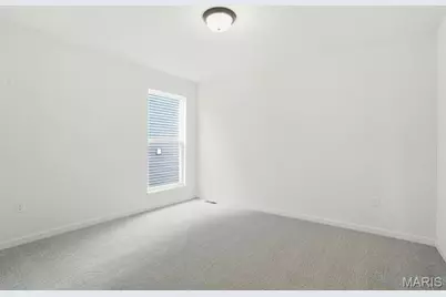 383 Butterfly Garden Lane, Wentzville, MO 63385 - Photo 3