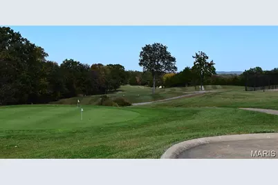 [Address not provided], Hillsboro, MO 63050 - Photo 45