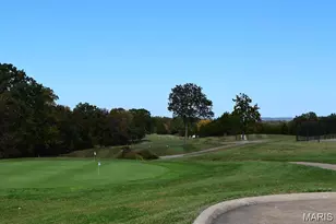 9965 Shiloh Dr, Hillsboro, MO 63050 - Photo 45