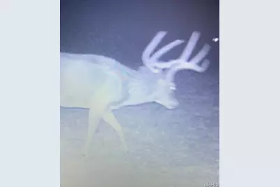 61120 Jubilee, Greendale, MO 63545 - Photo 15