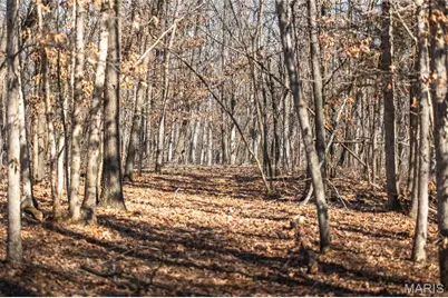 61120 Jubilee, Greendale, MO 63545 - Photo 79