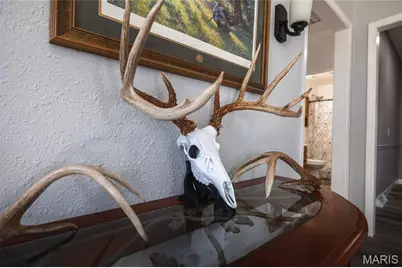 61120 Jubilee, Greendale, MO 63545 - Photo 29