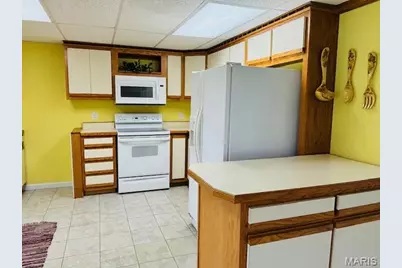 222 Valley View Drive, Cuba, MO 65453 - Photo 49