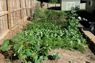 2966 Gran Lin Dr, Saint Charles, MO 63303 - Photo 27