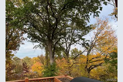 1430 Silverleaf Lane, Saint Louis, MO 63146 - Photo 45