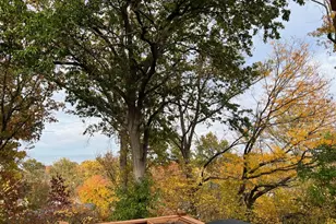 1430 Silverleaf Ln, Saint Louis, MO 63146 - Photo 45