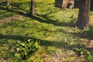 [Address not provided], Festus, MO 63028 - Photo 17